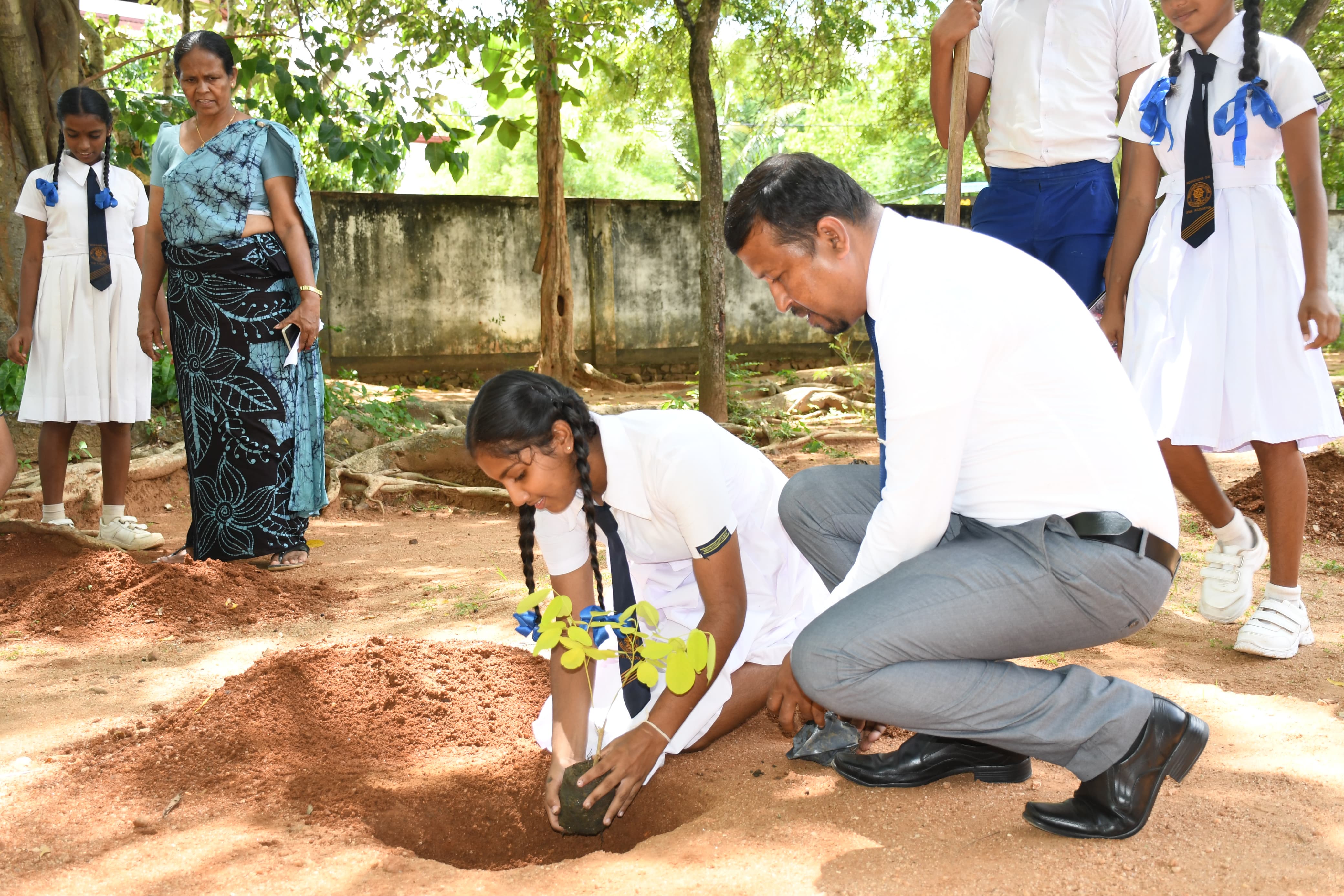 රුක් රෝපණ වැඩසටහන 